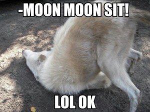 moon moon
