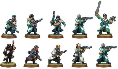 Valhallan Ice Warriors Squad