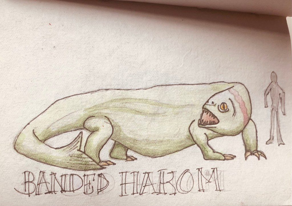 banded hakom
