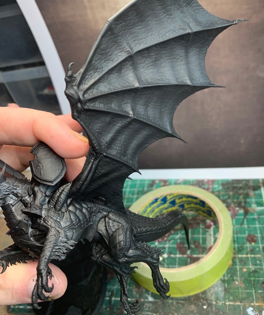 underside of stormdrake wing